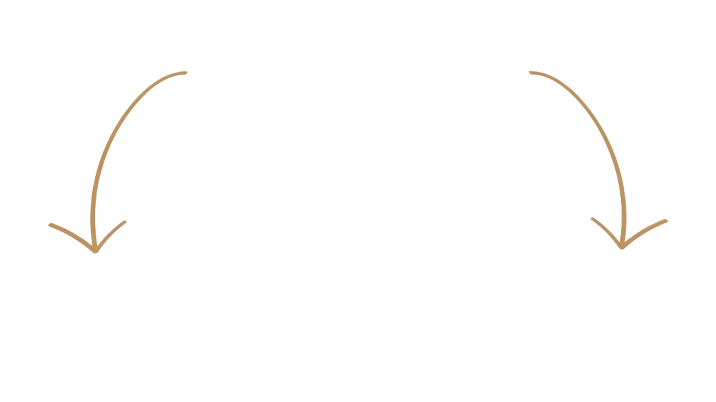 Vignettes produits paysage (2)