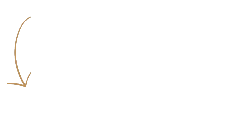 Vignettes produits paysage (3)