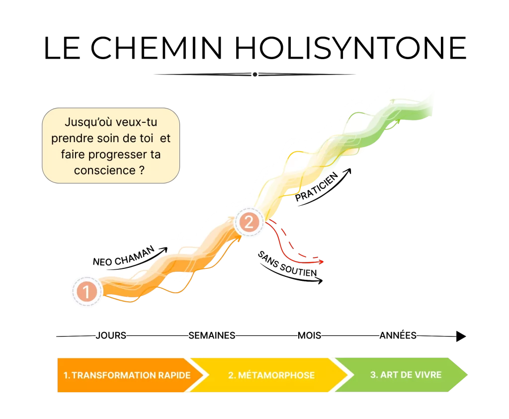 chemin holisyntone praticien